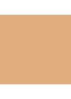 Flawless Lumière Radiance-Perfecting Foundation - 2W1.5 Bisque