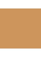 Flawless Lumière Radiance-Perfecting Foundation - 2W2 Butterscotch