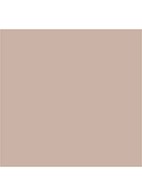 Matte Eye Colour - oogschaduw - café au lait