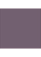 Matte Eye Colour - oogschaduw - plum smoke