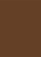 Mini Tinted Moisturizer Natural Dewy - travel size getinte dagcrème  - 6N UMBER