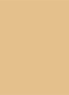 Tinted Moisturizer Natural Dewy - getinte dagcrème  - 1W BLONDE