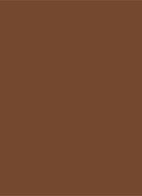 Tinted Moisturizer Natural Dewy - getinte dagcrème  - 6C BRUNETTE