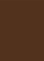 Tinted Moisturizer Natural Dewy - getinte dagcrème  - 7N MAHOGANY