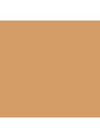Tinted Moisturizer SPF30 - getinte dagcrème - 3N1 SAND