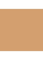 Tinted Moisturizer SPF30 - getinte dagcrème - 3W1 BISQUE