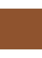 Tinted Moisturizer SPF30 - getinte dagcrème - 5C1 NUTMEG