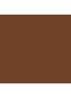 Tinted Moisturizer SPF30 - getinte dagcrème - 6C1 CACAO