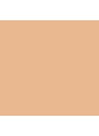 Tinted Moisturizer SPF30 - getinte dagcrème - 1N2 VANILLE