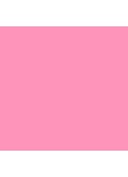 Lipglass - lipgloss - Pink Nouveau 