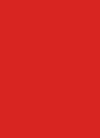 Macximal Matte Lipstick - 12 No coralation