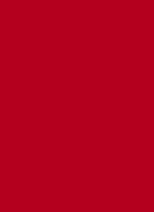 Macximal Matte Lipstick - 38 Ruby woo