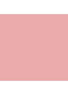Mineralize Blush - Dainty