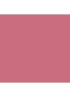 Powder Blush - Frankly Scarlet