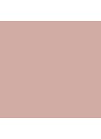 Powder Blush - Blushbaby