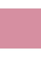 Powder Blush - Breath of plum