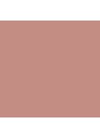 Powder Blush - Peachtwist