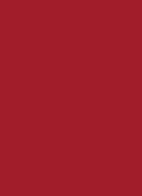 Skinfinish Colourstruck Blush - Ruby Wooed
