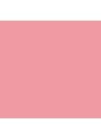 Small Eye Shadow - losse oogschaduw - In Living Pink