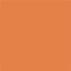 Studio Finish SPF 35 Concealer - NW43