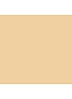 Studio Fix Powder Plus Foundation - NC30
