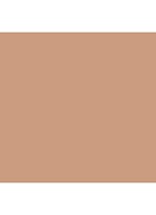 Studio Fix Powder Plus Foundation - NW40