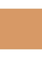 Studio Fix Powder Plus Foundation - NW45