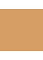Studio Fix Powder Plus Foundation - C8