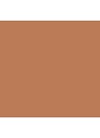 Studio Fix Powder Plus Foundation - NW58
