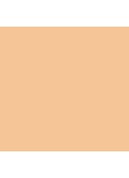 Studio Fix Powder Plus Foundation - NC40