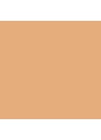 Studio Radiance Face and Body Radiant Sheer Foundation - N4