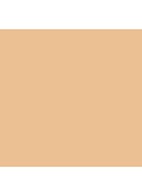 Studio Radiance Face and Body Radiant Sheer Foundation - C0