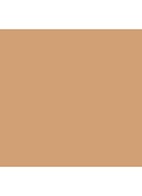 Studio Radiance Face and Body Radiant Sheer Foundation - C1