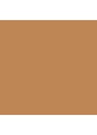 Studio Radiance Face and Body Radiant Sheer Foundation - C2