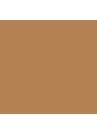 Studio Radiance Face and Body Radiant Sheer Foundation - C3