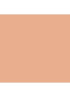 Studio Waterweight SPF 30 Foundation - NW25