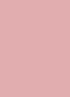 Blush - Limited Edition blush - Loves me not