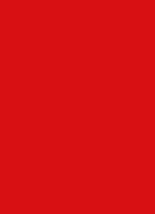 Explicit Lipstick - Unauthorized - 863