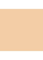 Natural Radiant Longwear Foundation - Gobi