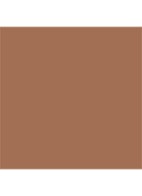  Nouveauté  The Multiple Sculpting Stick - bronzer stick - LAGUNA