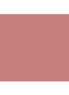 Powermatte Lip Pigment – liquid lipstick - Le Freak