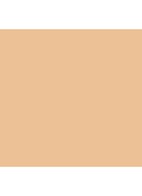 Soft Matte Complete Foundation - Punjab