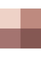Eye Color Quad - oogschaduw palette - Sous le Sable