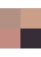 Eye Color Quad - oogschaduw palette - Disco Dust