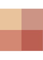 Eye Color Quad - oogschaduw palette - 40 Golden Hour