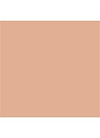 Nail Lacquer - nagellak - Toasted Sugar