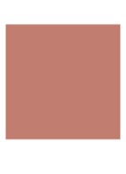 Runway Lip Color - lipliner - 102 RE-SEE
