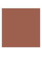 Runway Lip Color - lipliner - 103 IRRESISTIBLE