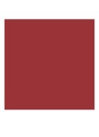 Runway Lip Color - lipliner - 104 PRIVATE CLIENT