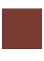 Runway Lip Color - lipliner - 106 A-LIST